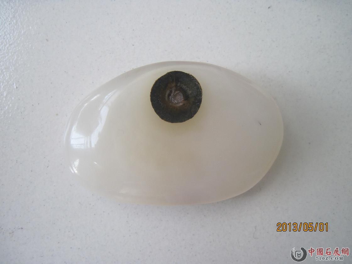 Ƭ 1861.jpg