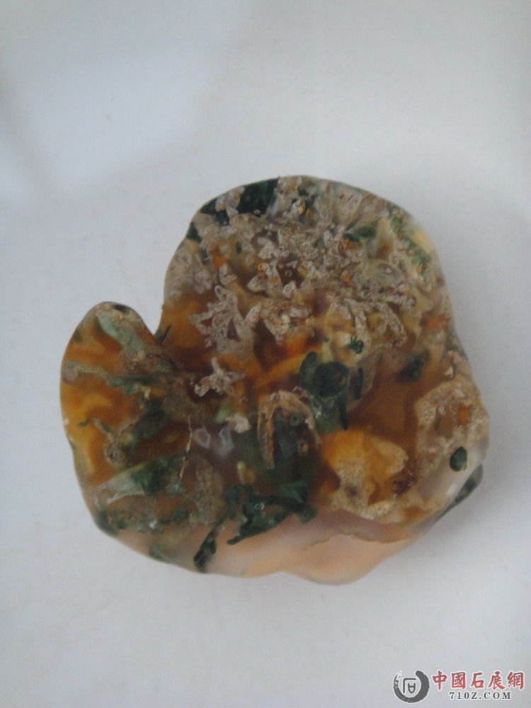 DSC01379.JPG
