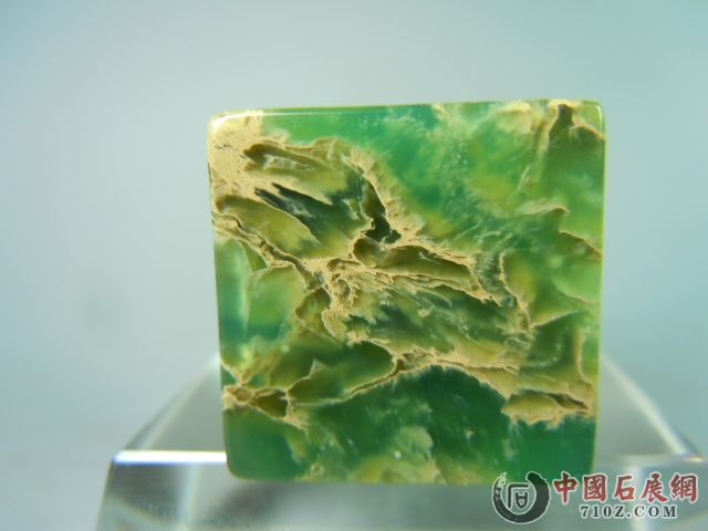 DSCN9419.JPG