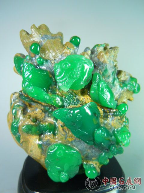 DSCN9395.JPG