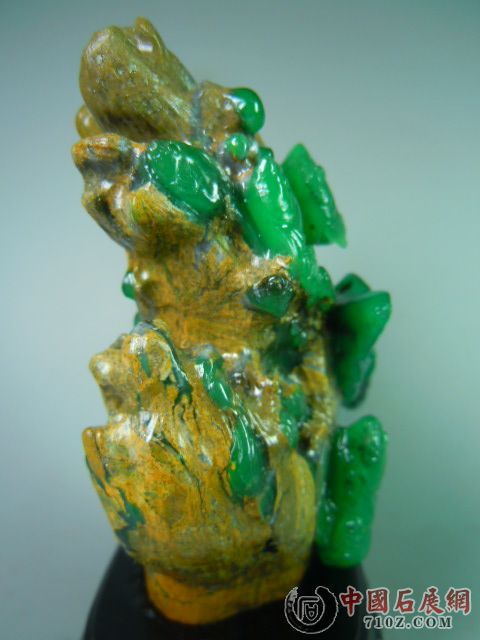 DSCN9399.JPG
