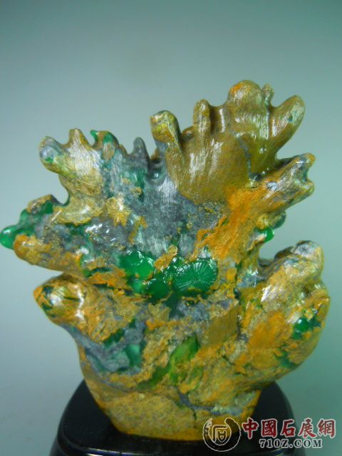 DSCN9400.JPG
