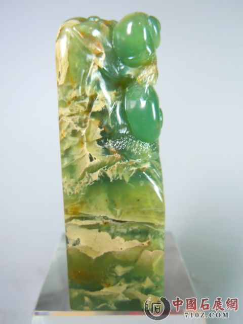 DSCN9512.JPG