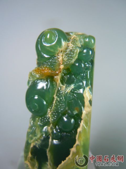 DSCN9515.JPG