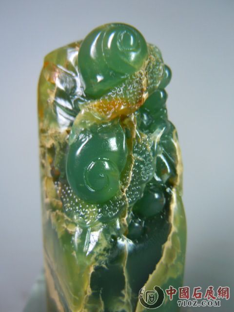 DSCN9516.JPG