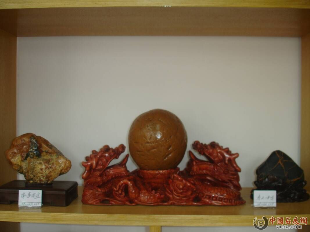 DSC00142.jpg
