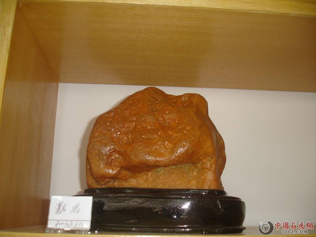 DSC00143.jpg