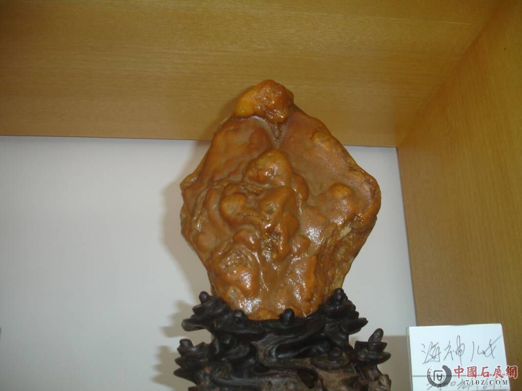 DSC00145.jpg