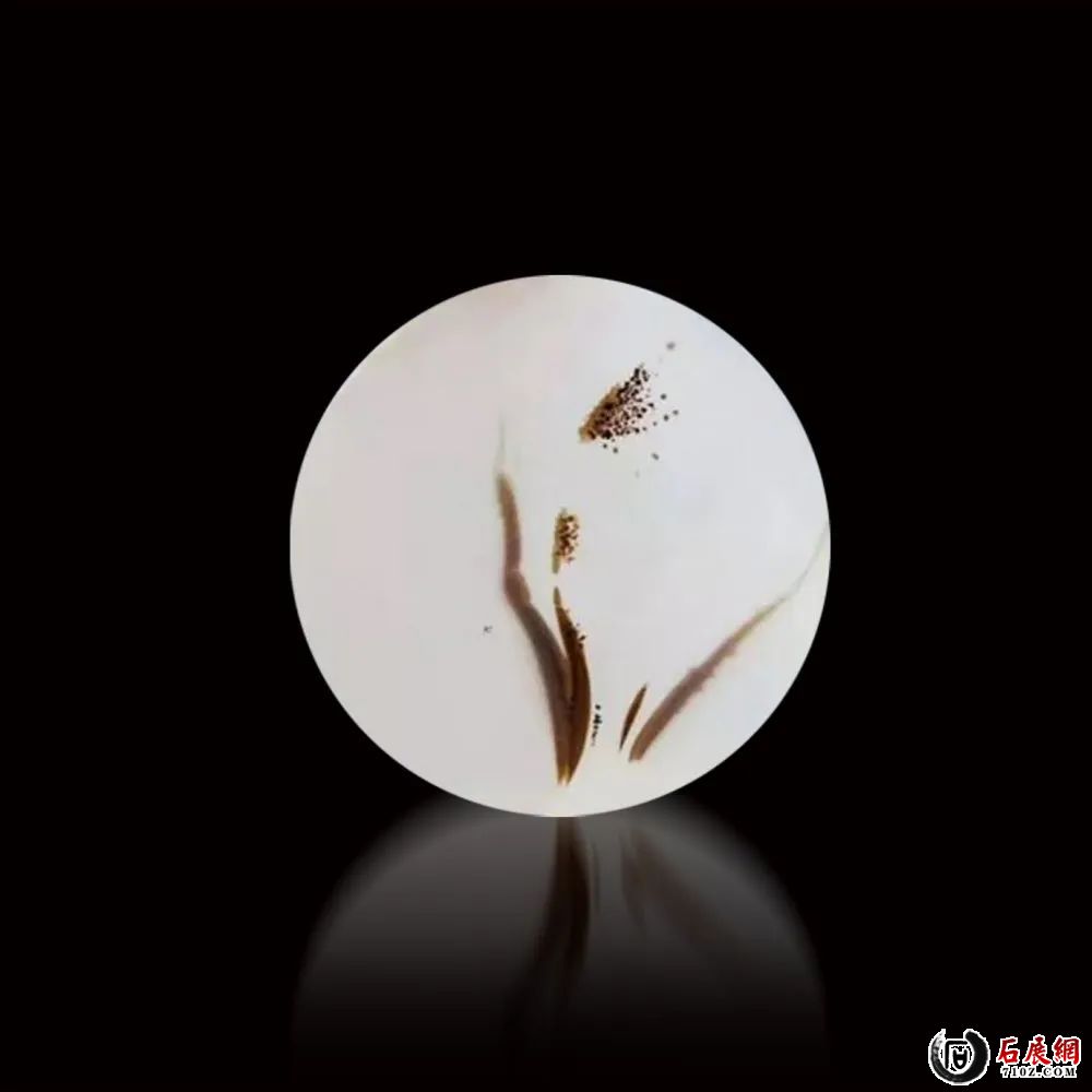 ΢ͼƬ_20221025113320.jpg