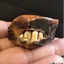 Ʒʯ