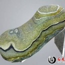 汉江石赏析——一只绣花鞋