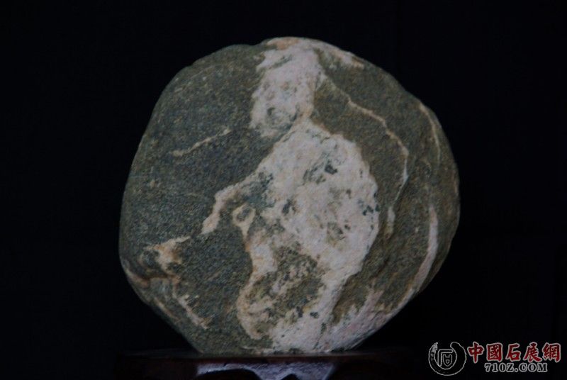 IMGP1271 [800x600].JPG