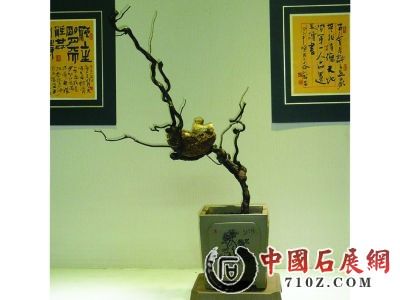 �人��ʯ�ؼ���ʯСƷ���(��ͼ)