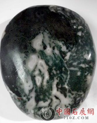 [[��������Ҳ]]WDU