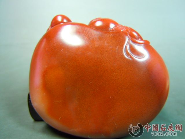 DSCN7391.JPG