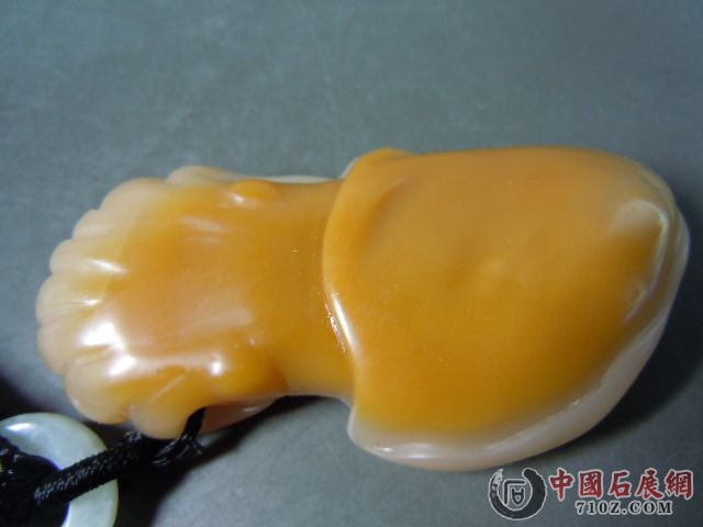 DSCN7311.JPG