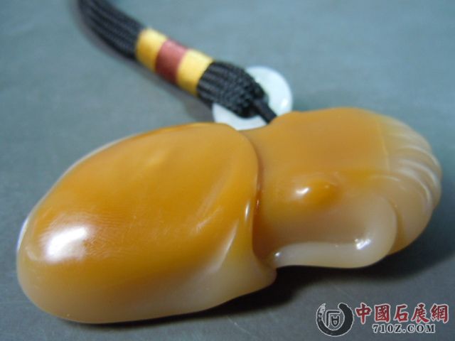 DSCN7310.JPG