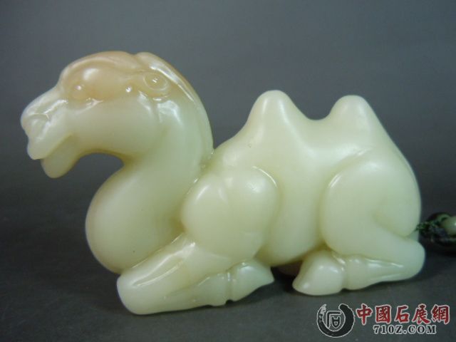 DSCN7335.JPG