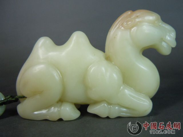 DSCN7336.JPG