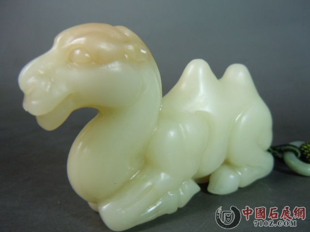 DSCN7339.JPG