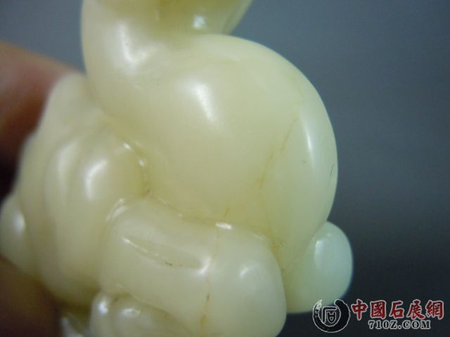 DSCN7340.JPG