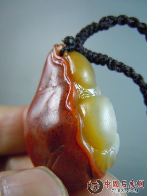 DSCN7334.JPG
