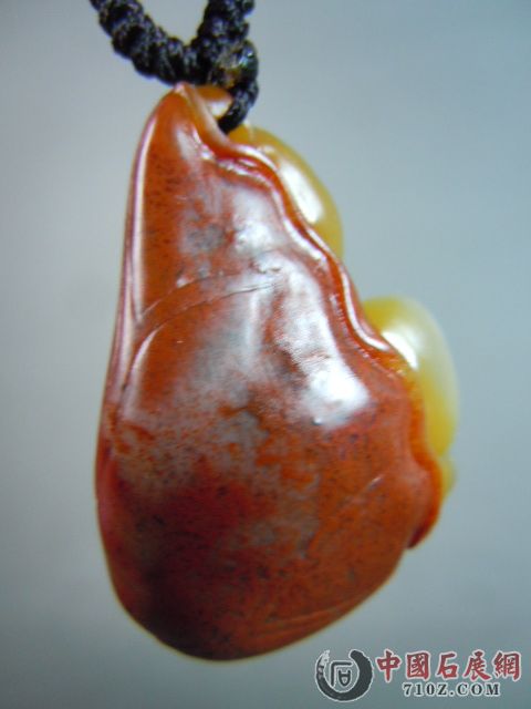DSCN7328.JPG