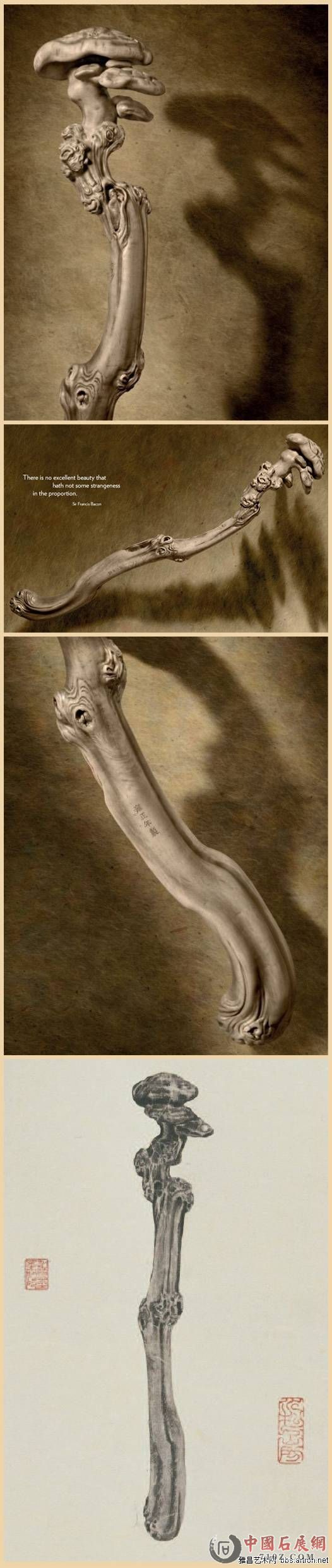 ��Ӻ�� ���ƻ���ľ����֥������.jpg