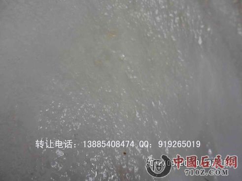 �����޵���ת�õ绰��13885408474