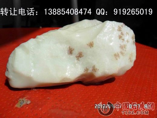 �����޵���ת�õ绰��13885408474