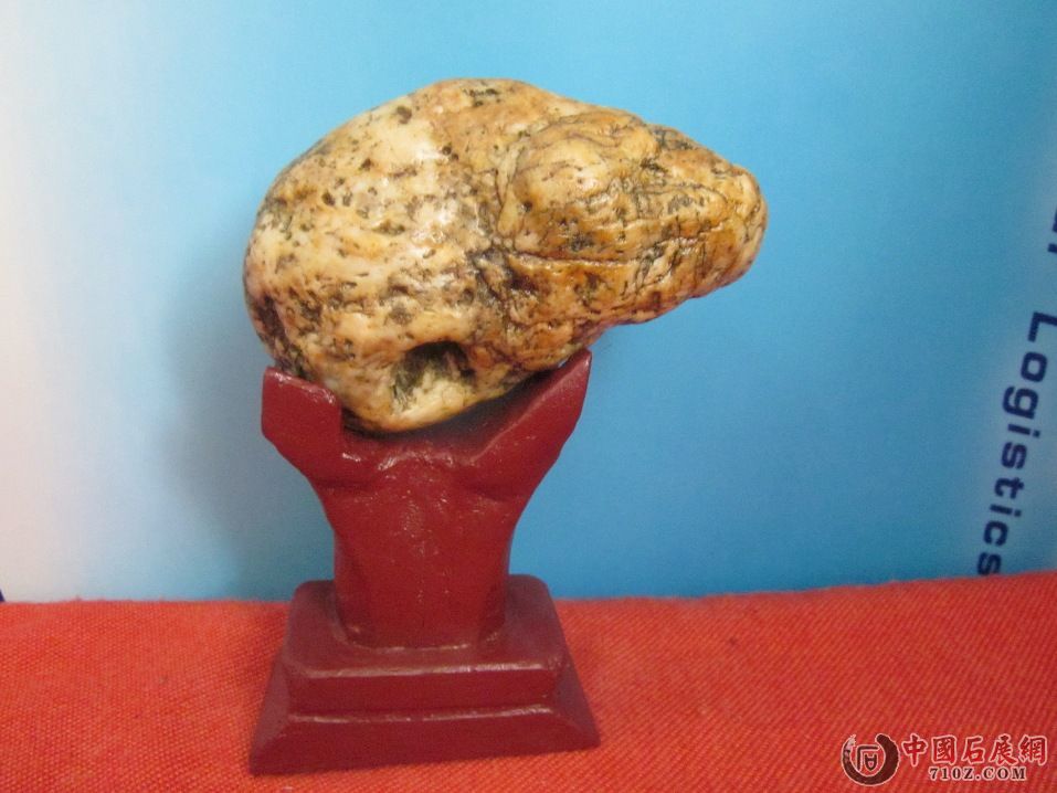 ���� IMG_0445.JPG