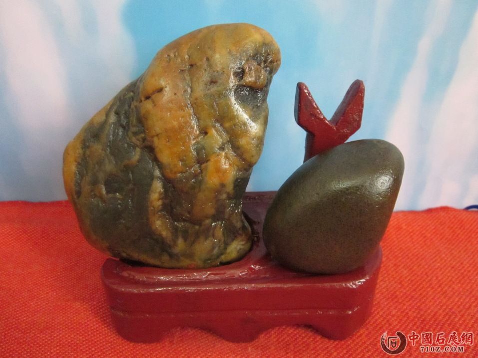 ���� IMG_0459.JPG