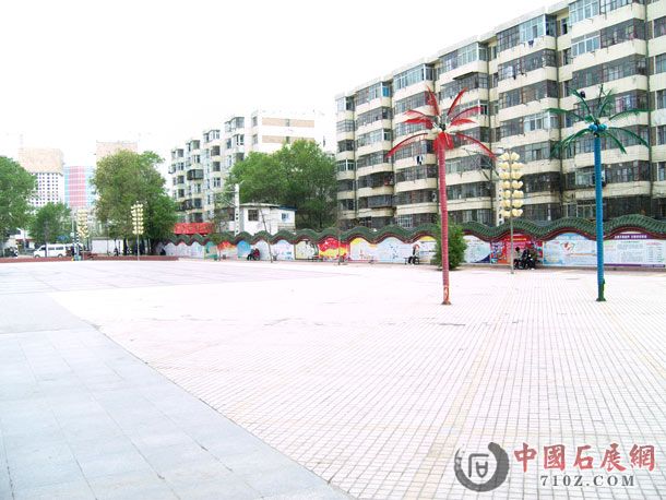 SNV85076.jpg