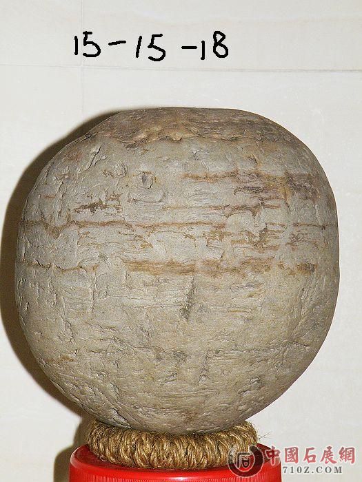 nEO_IMG_��Ƭ 062.jpg