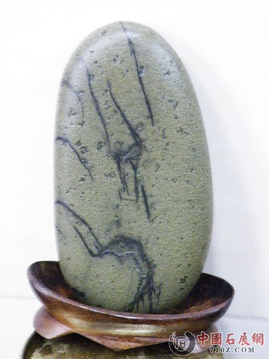 nEO_IMG_��Ƭ 076.jpg