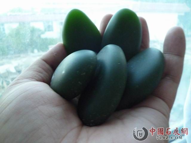 ������С P1040463.JPG