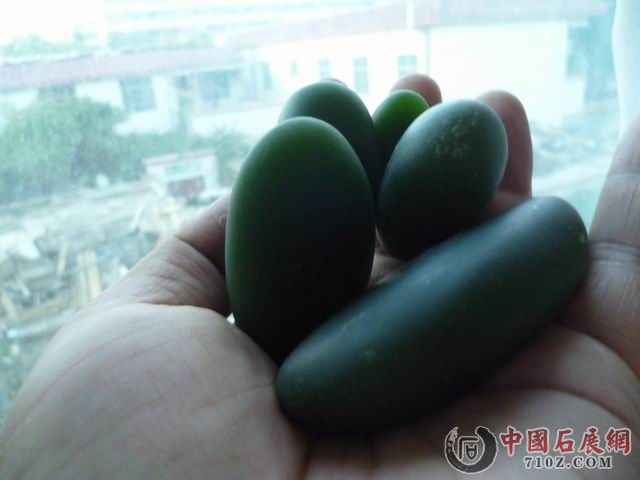 ������С P1040464.JPG