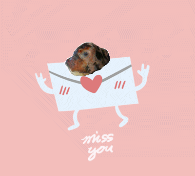 96__.gif