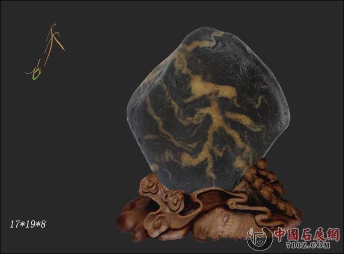 ���� ����.jpg