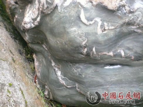 ���������[����] 