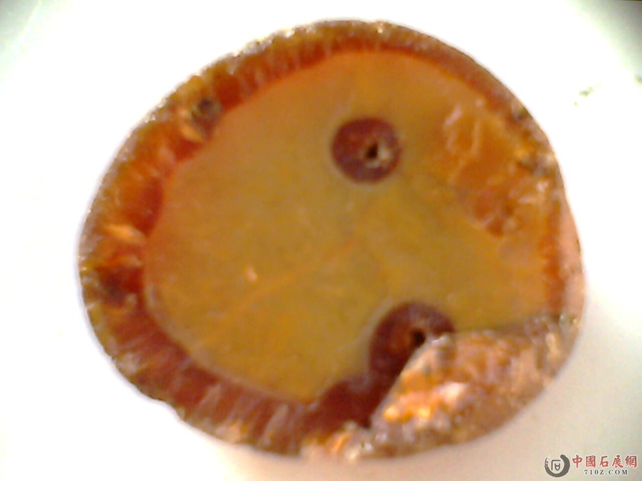 IMG3999A.jpg
