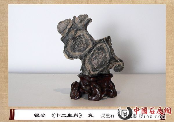 20131411247.jpg