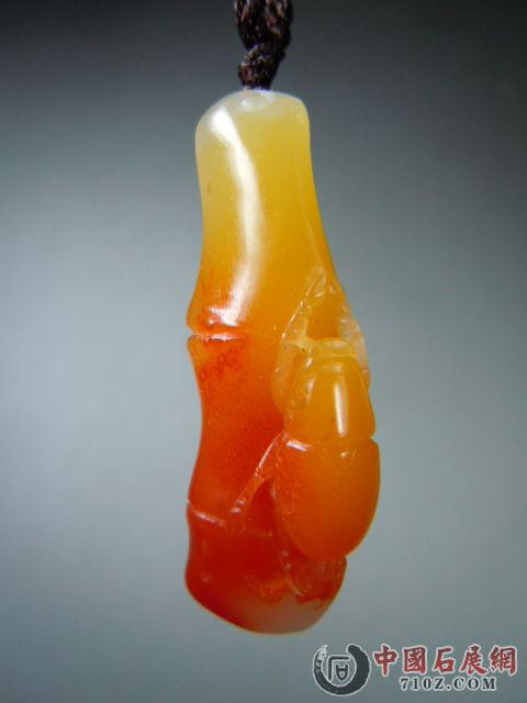 DSCN8479.JPG