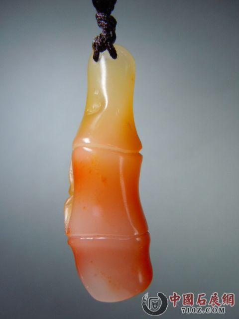 DSCN8477.JPG