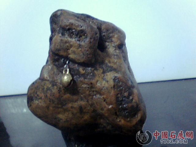 ͼƬ 004.jpg