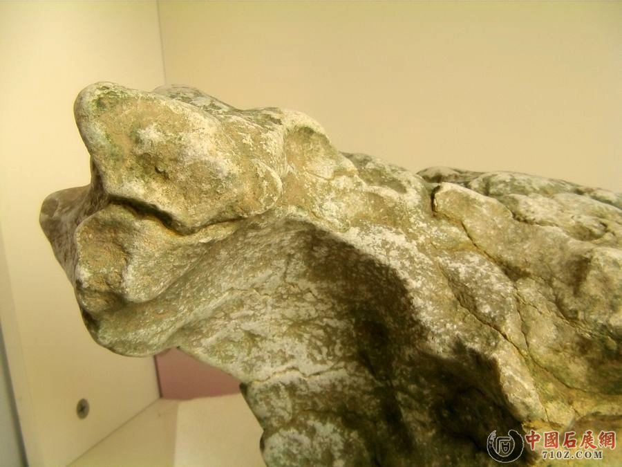 IMAG0063.jpg
