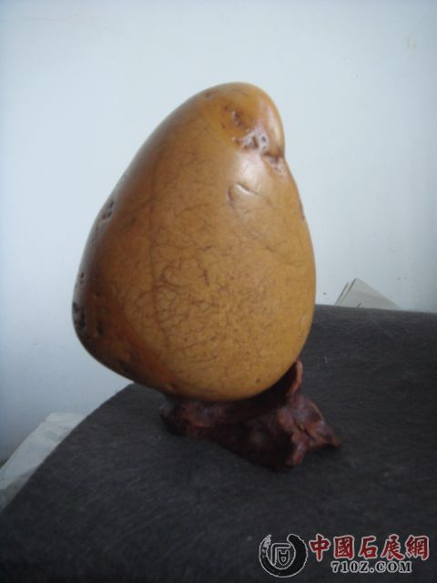 DSC02318.JPG