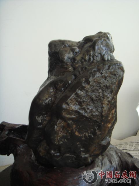 DSC02599.JPG