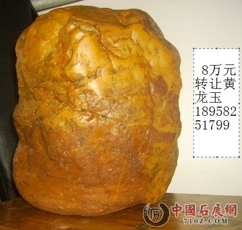  ת���ҵĲ�Ʒ