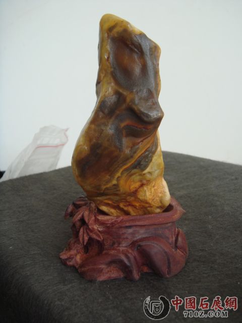 DSC03612.JPG